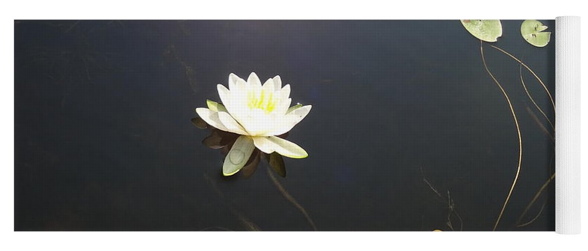 Water Lily Yoga Mat featuring the photograph Water Lily by Laurel Best