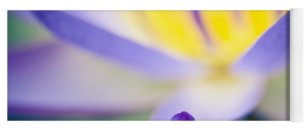 Floral Yoga Mat featuring the photograph Waterlily Dreams 6 by Priya Ghose