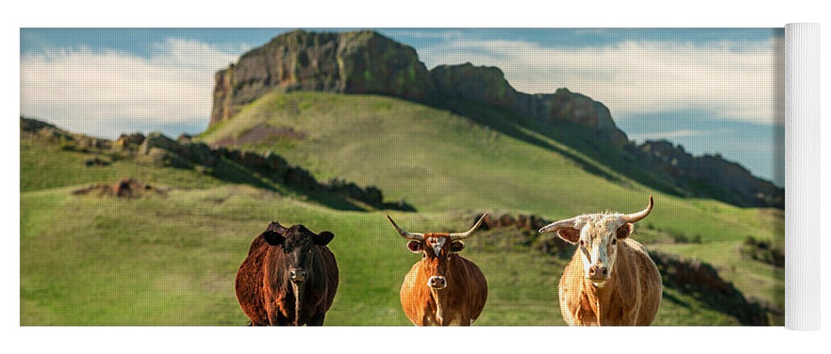 Cattle Yoga Mat featuring the photograph Western Longhorns by Todd Klassy