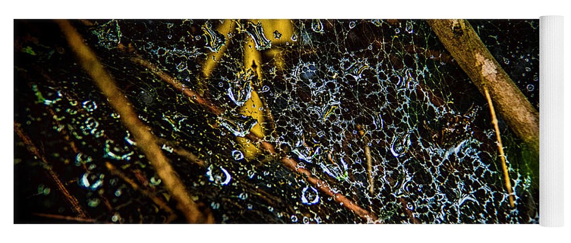 Spider Web Yoga Mat featuring the photograph Spider - Water Droplets - Wet Web by Barry Jones