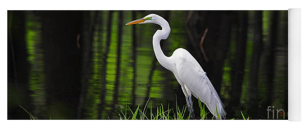 Great Egret Yoga Mat featuring the photograph Wetland Wader by Al Powell Photography USA