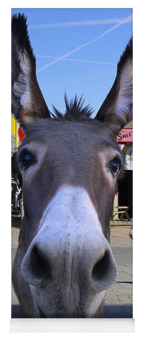 Donkey Yoga Mat featuring the photograph What . . . No Carrots by Mike McGlothlen
