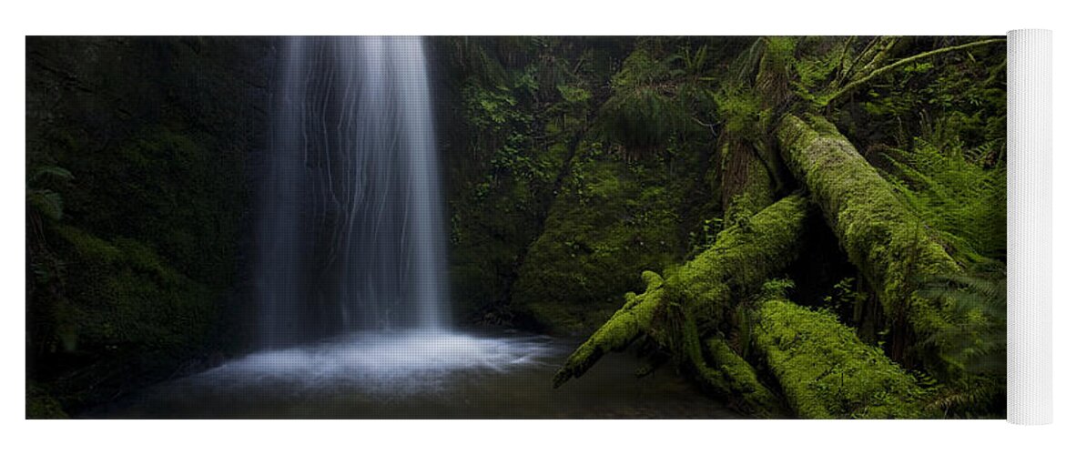 Waterfall Yoga Mat featuring the photograph Whatcom Falls Serenity by Mike Reid