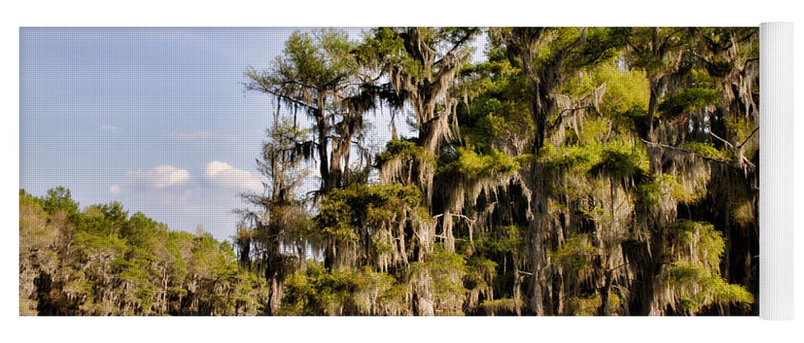 spanish Moss Yoga Mat featuring the photograph Where the Cypress Grows by Lana Trussell