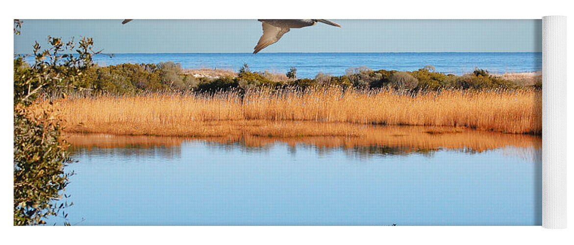 Pelicans Yoga Mat featuring the photograph Where The Marsh Meets The Atlantic by Kathy Baccari