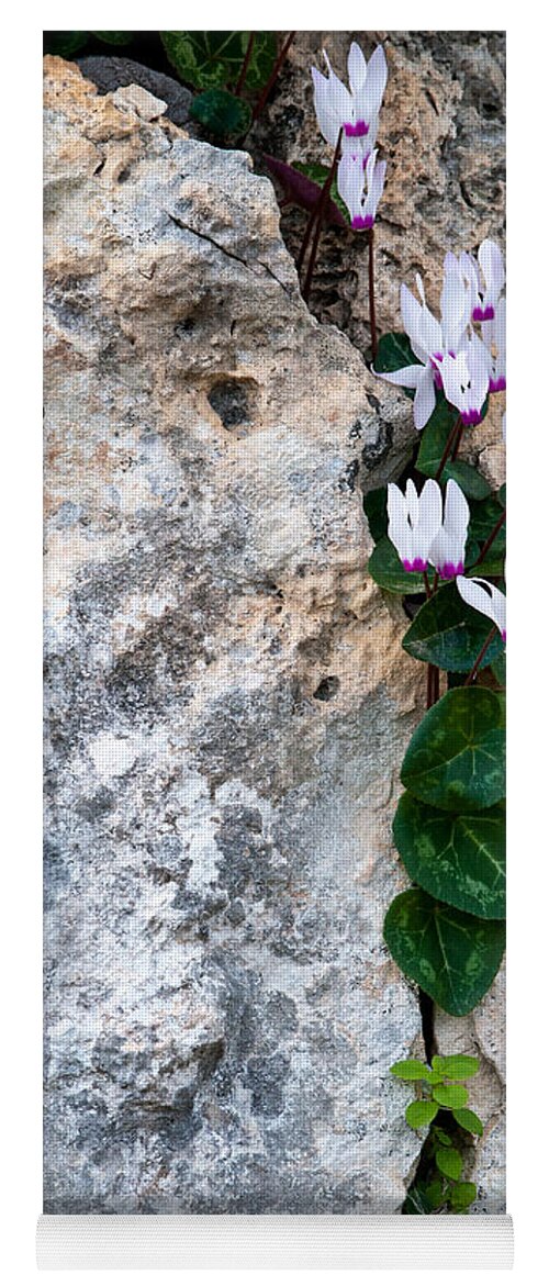 Cyclamen Yoga Mat featuring the photograph White Cyclamen flowers by Michalakis Ppalis
