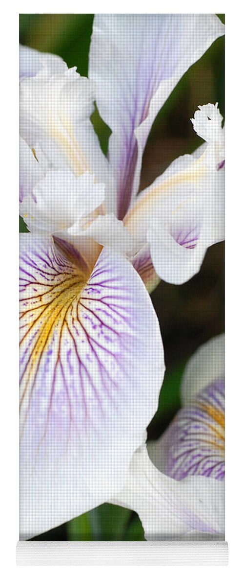 Flower Yoga Mat featuring the photograph White Iris 1 by Amy Fose