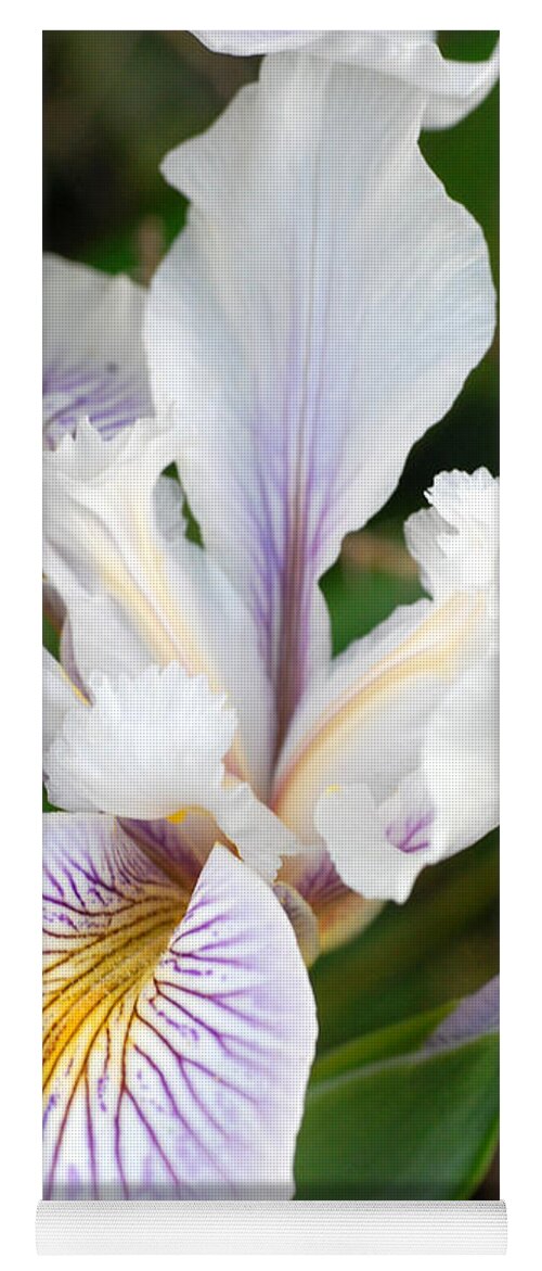 Flower Yoga Mat featuring the photograph White Iris 2 by Amy Fose