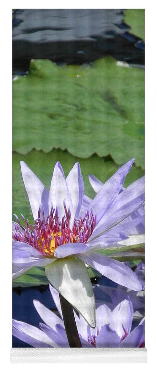 Photographs Yoga Mat featuring the photograph White Lilies by Chrisann Ellis