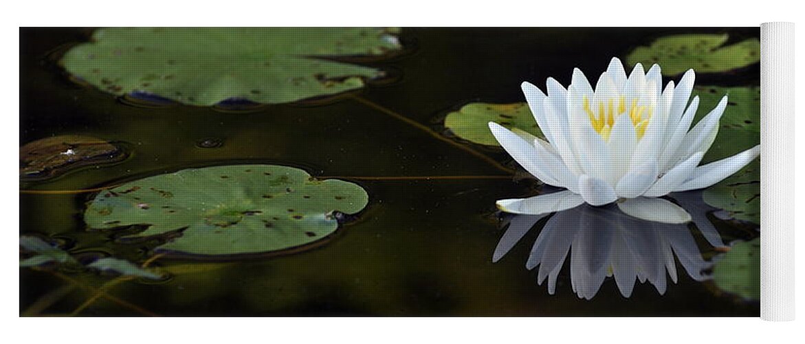 Lily Flower Yoga Mat featuring the photograph White lotus lily flower and lily pad by Glenn Gordon