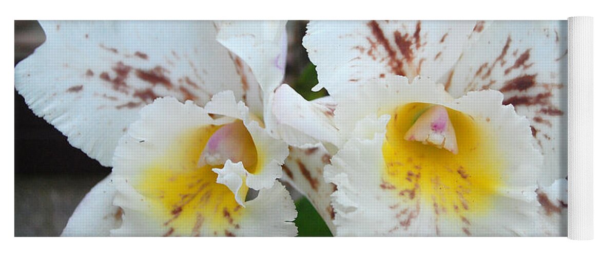 Kula Botanical Gardens Yoga Mat featuring the photograph White Orchids by Amy Fose