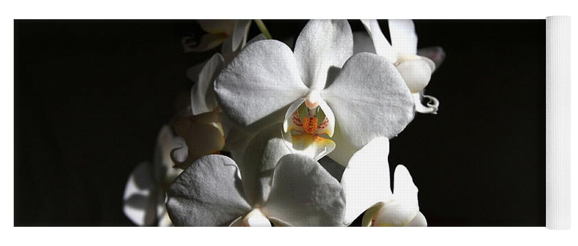 Flowerphoto Yoga Mat featuring the photograph White Orchids by Jeremy Hayden