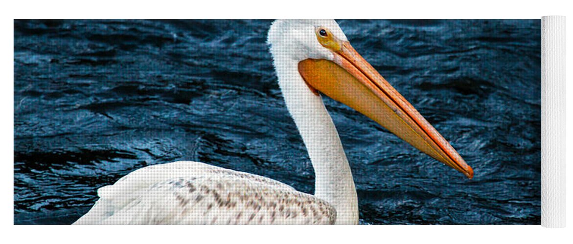 Birds Yoga Mat featuring the photograph White Pelican Portrait by Robert Bales