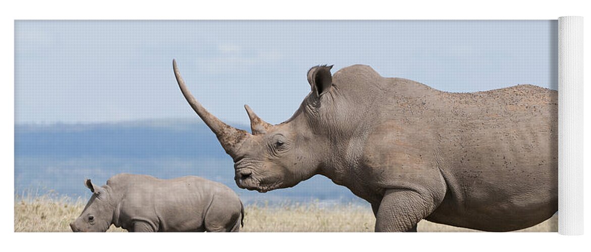 Feb0514 Yoga Mat featuring the photograph White Rhinoceros And Calf Kenya by Tui De Roy