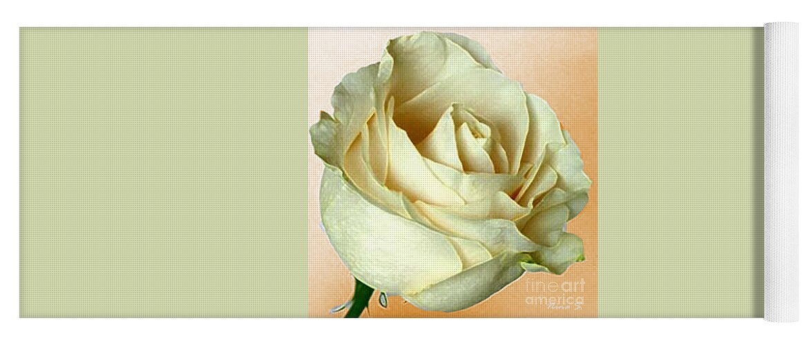 Rose Yoga Mat featuring the photograph White Rose on sepia by Nina Silver