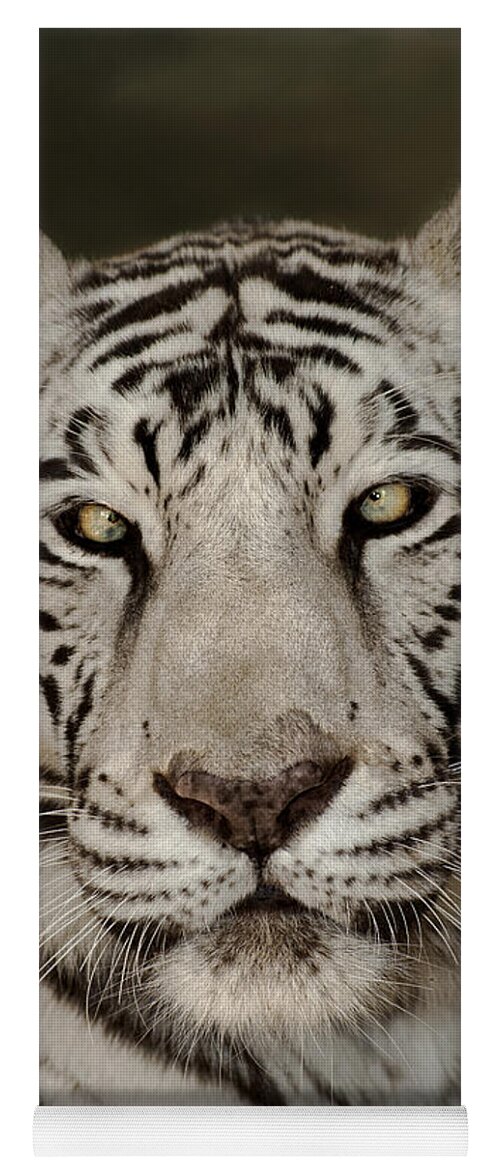 White Tiger Yoga Mat featuring the photograph White Tiger Portrait Wildlife Rescue by Dave Welling