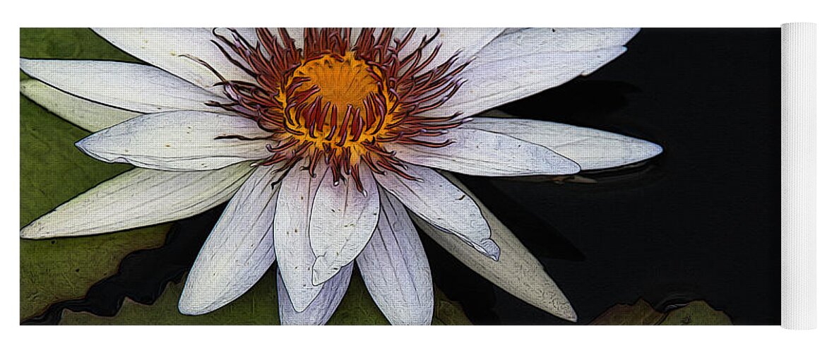 Water Lily Yoga Mat featuring the photograph White Water Lily by Yvonne Wright