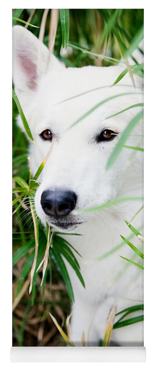 Young White Wolf Image Yoga Mat featuring the photograph White Wolf by Erika Weber