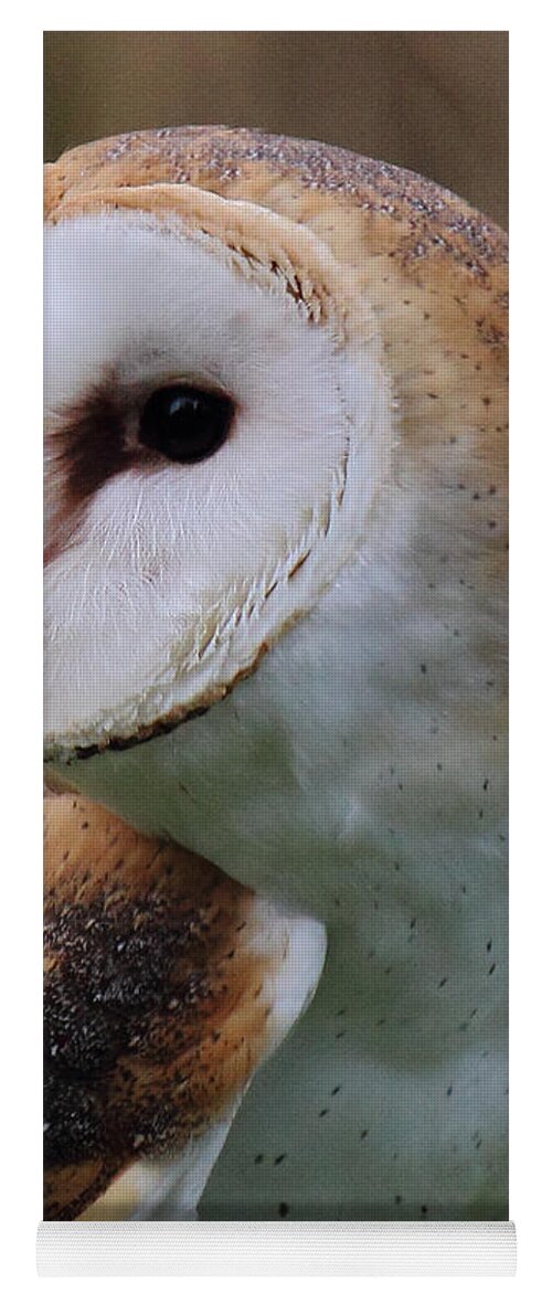 Barn Owl Yoga Mat featuring the photograph Who Said That? by Randy Hall