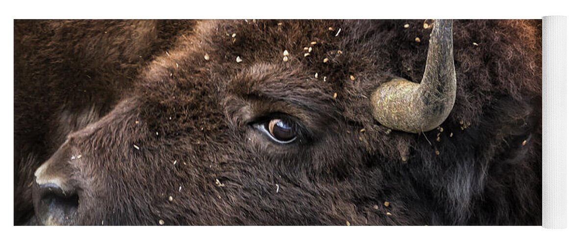 Bison Yoga Mat featuring the photograph Wild Eye - Bison - Yellowstone by Belinda Greb