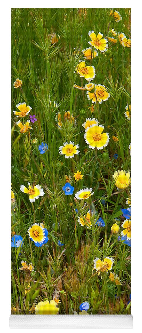 California Wildflowers Yoga Mat featuring the photograph Wildflower Salad - Spring in Central California by Ram Vasudev