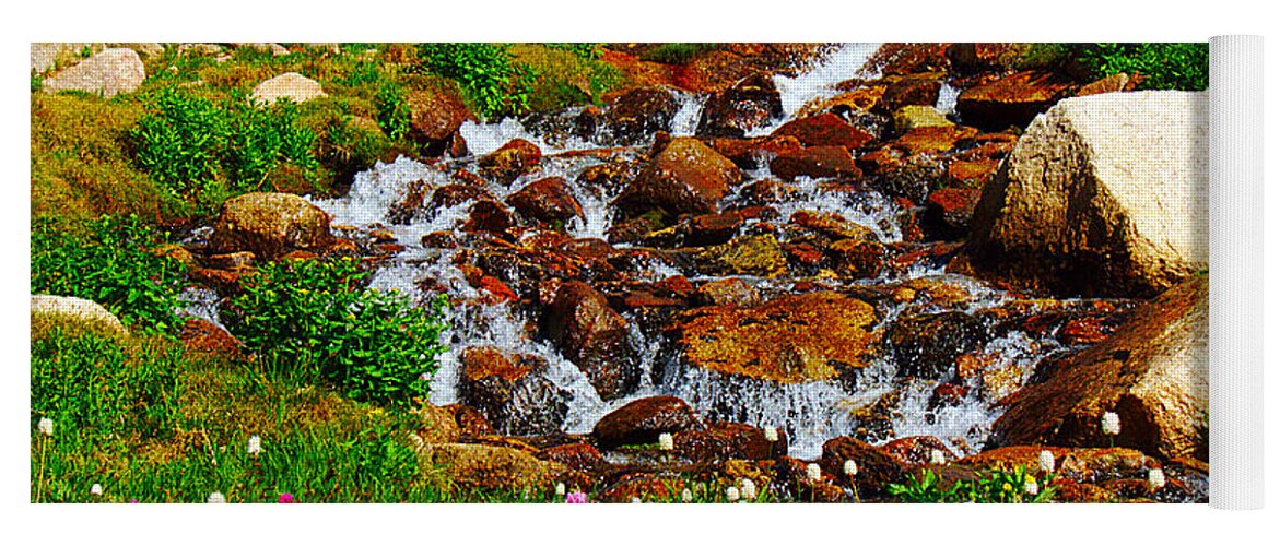 Wildflower Yoga Mat featuring the photograph Wildflower Waterfall by Tranquil Light Photography