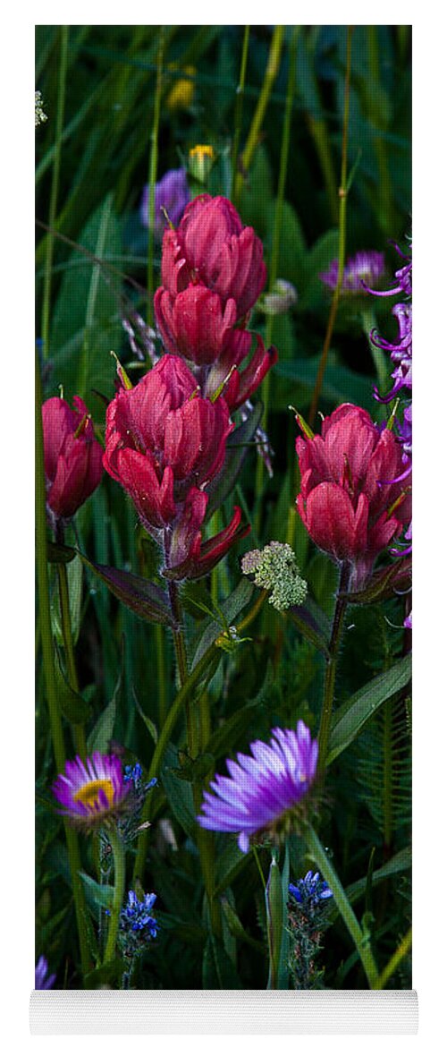 Landscape Yoga Mat featuring the photograph Wildflowers a Bloomin by Steven Reed