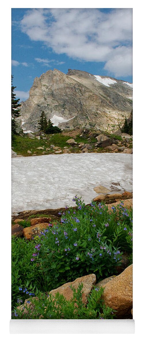 Landscape Yoga Mat featuring the photograph Wildflowers in the Indian Peaks Wilderness by Ronda Kimbrow