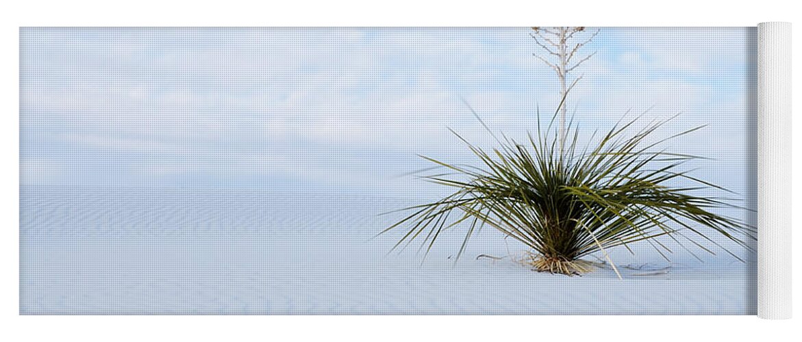 Yucca Yoga Mat featuring the photograph Windblown Yucca by Vivian Christopher