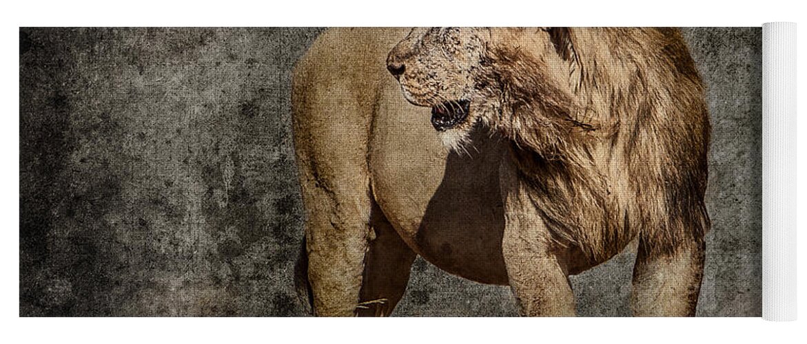 Africa Yoga Mat featuring the photograph Windswept Lion by Mike Gaudaur