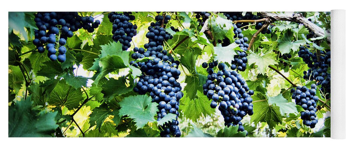 Grape Yoga Mat featuring the photograph Wine on the Vine by Cricket Hackmann