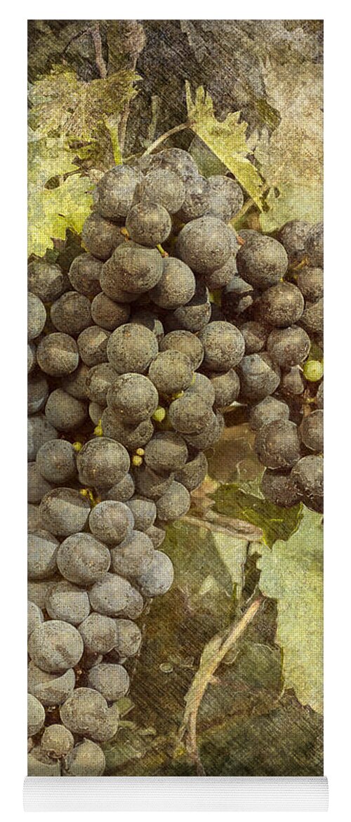 Grape Yoga Mat featuring the photograph Winery Grapes by Carrie Cranwill