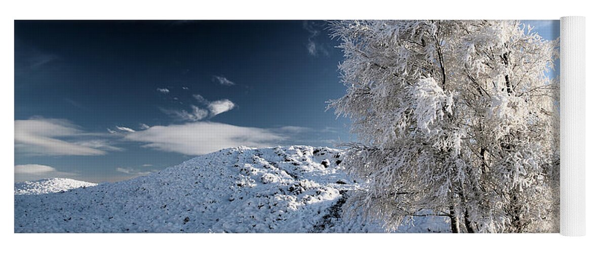 Snow Scene Yoga Mat featuring the photograph Winter Landscape by Grant Glendinning