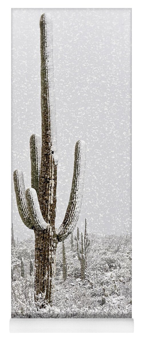 Arizona Yoga Mat featuring the photograph Winter Sonoran Style by Saija Lehtonen