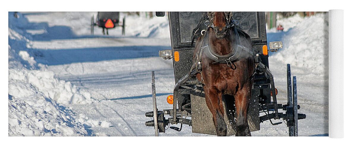 Horse Yoga Mat featuring the photograph Winter Travel by Craig Leaper
