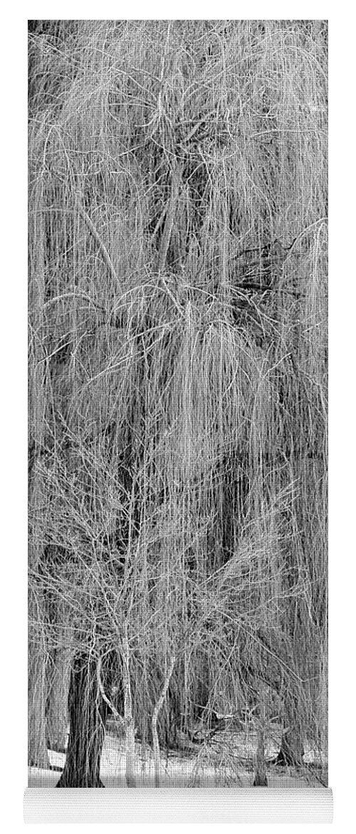 Winter Tree Yoga Mat featuring the photograph Winter Tree in Spokane - Black and White by Carol Groenen