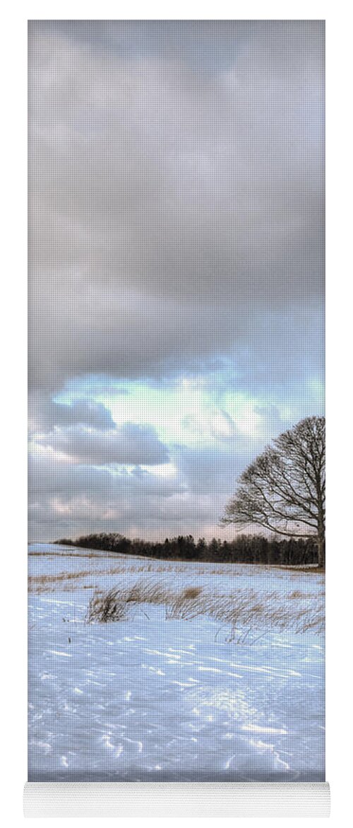 Shinnicock Hills Yoga Mat featuring the photograph Winter Tree by Steve Gravano