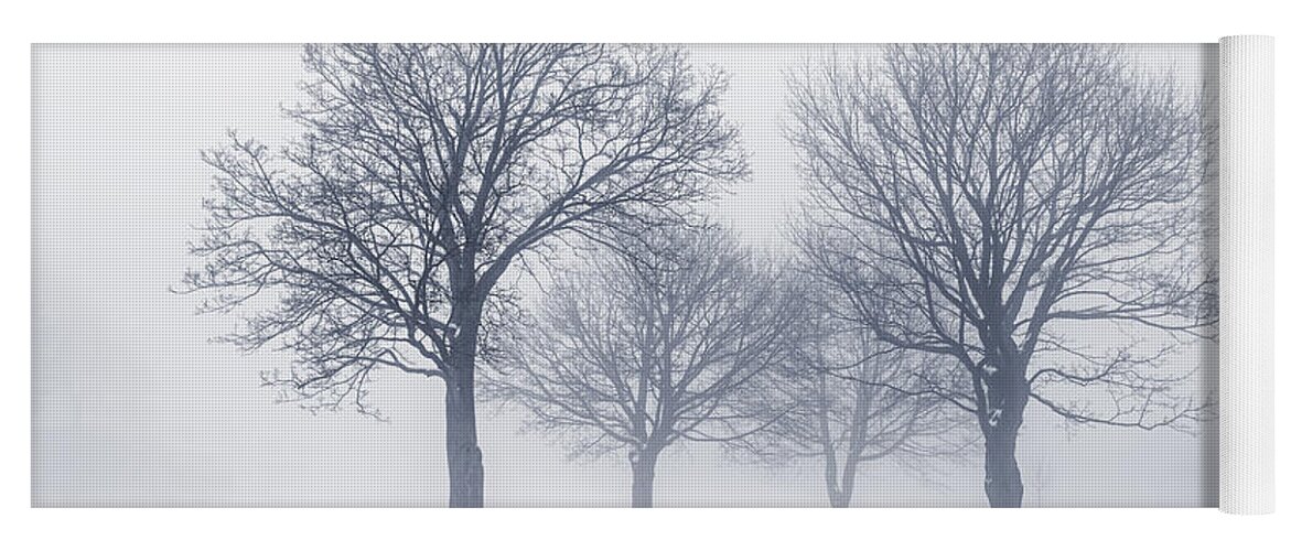Trees Yoga Mat featuring the photograph Winter trees in fog 10 by Elena Elisseeva