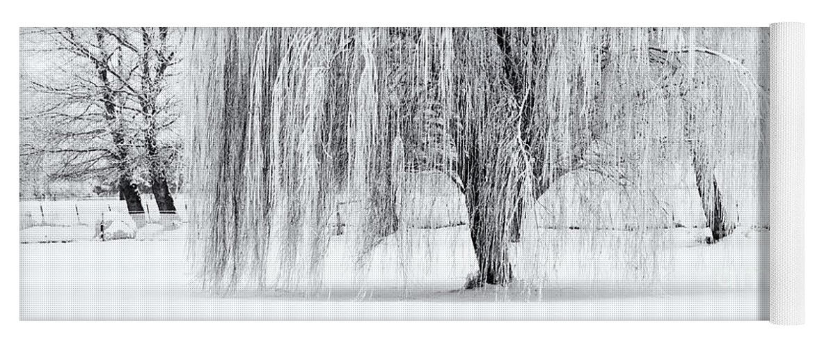 Willow Yoga Mat featuring the photograph Winter Willow by Michael Dawson