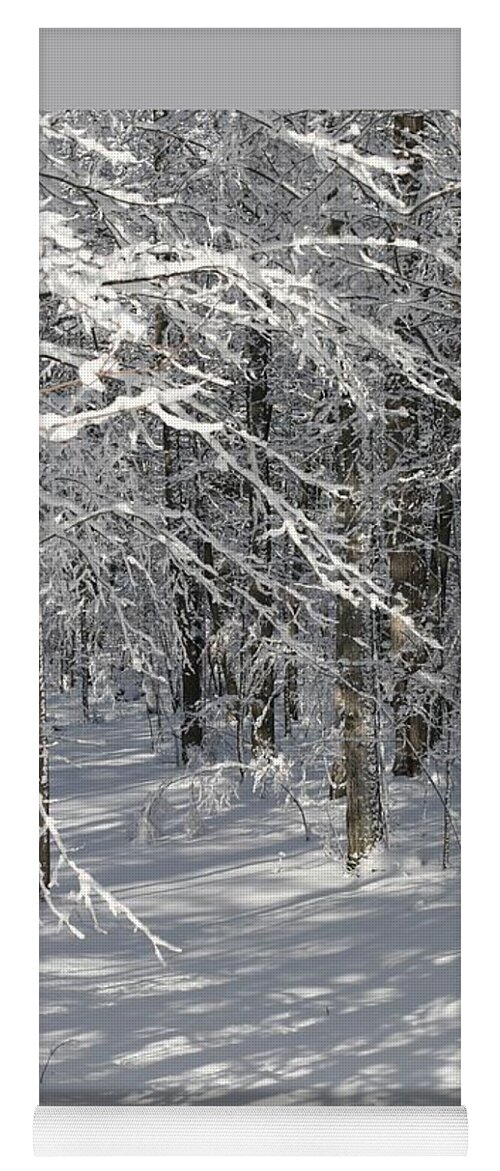Winter Yoga Mat featuring the photograph Wintery Woodland Shadows by Patricia Overmoyer