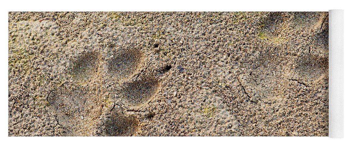 Wolf Tracks Black Footprints Yoga Mat