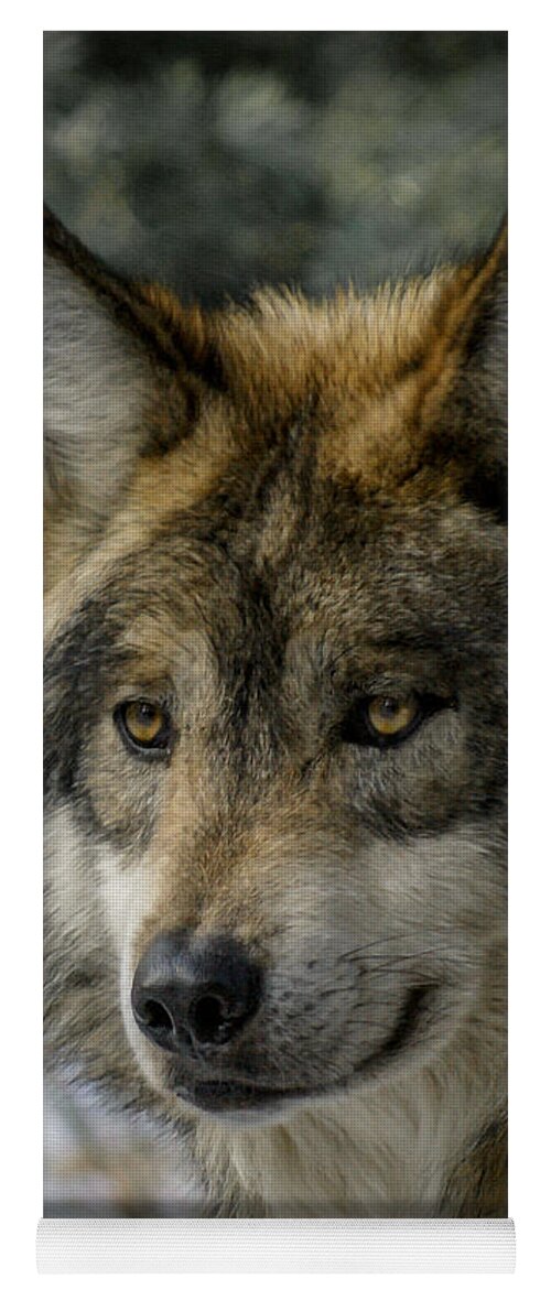 Wolf Yoga Mat featuring the photograph Wolf upclose 2 by Ernest Echols