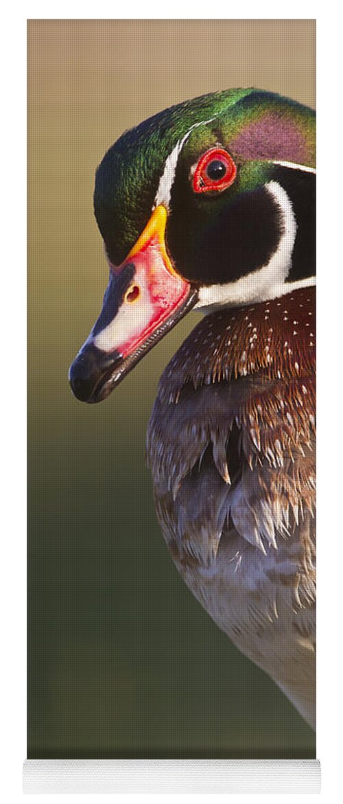 Wood Duck Yoga Mat featuring the photograph Wood Duck portrait by Bryan Keil