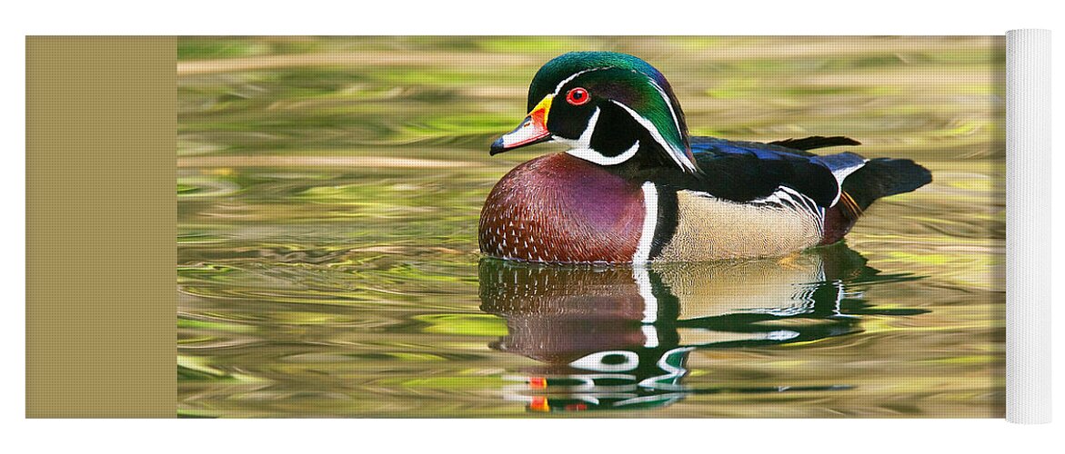 Wood Duck And Reflection Yoga Mat featuring the photograph Wood Duck by Ram Vasudev