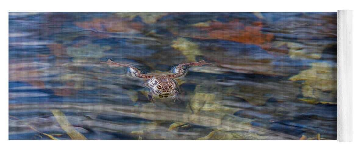 Frog Yoga Mat featuring the photograph Wood Frog by Bill Wakeley
