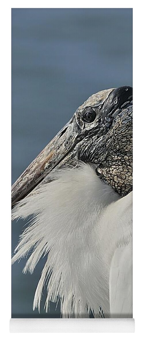 Wood Stork Yoga Mat featuring the photograph Wood Stork Portrait by Bradford Martin