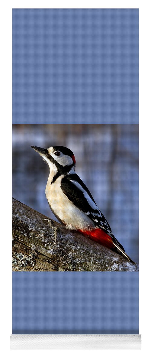 Woodpecker Yoga Mat featuring the photograph Woodpecker by Torbjorn Swenelius