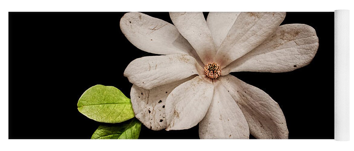 Wounded White Magnolia Yoga Mat featuring the photograph Wounded White Magnolia Wide Version by Weston Westmoreland