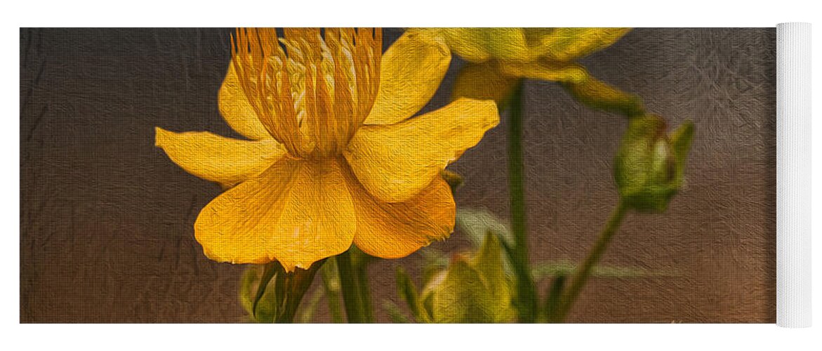 Flower Yoga Mat featuring the photograph Yellow Aged Floral by Deborah Benoit