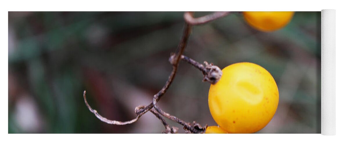 Yellow Yoga Mat featuring the photograph Yellow Berries From the Early Winter Prairie Series by Verana Stark